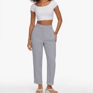 🇨🇦WILFRED/ARITZIA Dashwood Pant Gull Grey Size 10 | High Rise Pleated Cropped